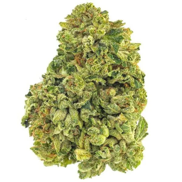 Orange Bud 10-OH-HHC 25% 10Gr