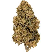 Amnesia Haze 10-OH-HHC 25% 10Gr