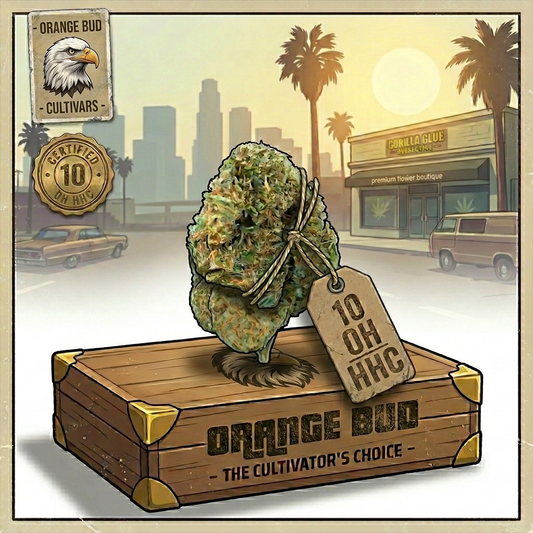 Orange Bud  10-OH-HHC 25% 10Gr