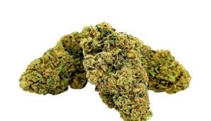 Gorilla Glue 10 OH HHC 20% 10Gr